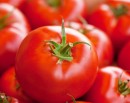 Tomato Prices Skyrocket in Pakistan Amid Supply Disruptions_img