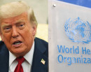 United States Officially Withdraws from the World Health Organization_img