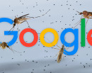 Why Google is Releasing 32 Million Special Mosquitoes_img