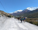 Bad Weather Forces Foreign Trekkers to Turn Back from Manang_img