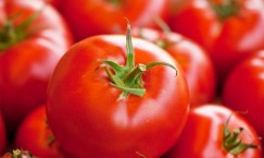 Tomato Prices Skyrocket in Pakistan Amid Supply Disruptions