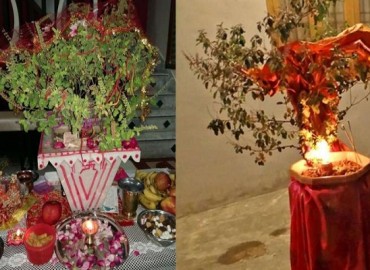 Haribodhini Ekadashi: Celebrated by marrying Tulsi Damodar