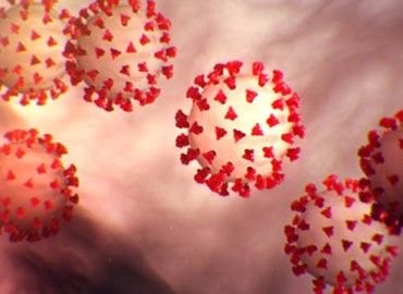 CCMC recommends ministries to take additional measures to control the spread of COVID-19