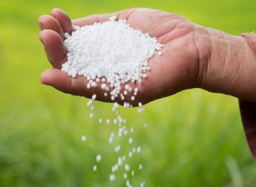 Government taking initiative to ensure supply of chemical fertilizers