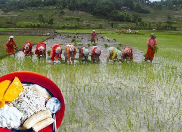 Asar 15: The Festival of Ropai & Dahi Chiura