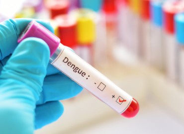 When Dengue Fever Becomes Severe Dengue: Symptoms and Causes