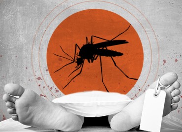 Dengue claims life in Chitwan