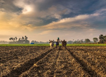 Farmers hopeful of benefitting from chilling center
