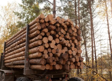 Dhankuta exports timber worth more than 500 million