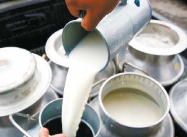 Farmers demand increase in milk price