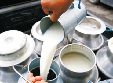 Farmers call for rise in milk price