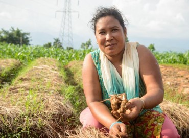 Ginger farmers upset in lack of reasonable price