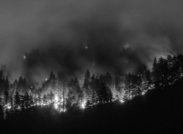 27 people die due to fire, forest fire and lightning in last 24 days