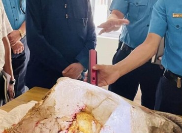 Luminous rock confirmed to be a quartz crystal, weighs over 52 kgs