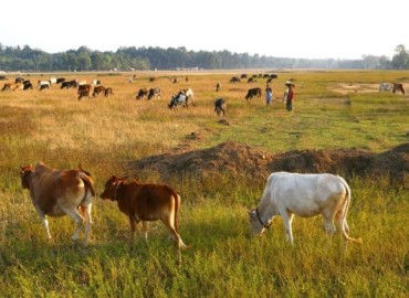 Over 5,400 hectares of land in Kailali, Kanchanpur gets irrigation facility