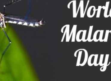 World Malaria Day: Foreign returnees more vulnerable