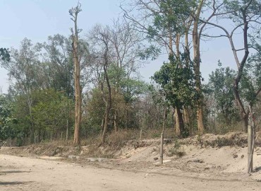 Surge in heat affects normal life in Tarai Madhes