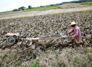 Drought takes toll in Humla; crops dry up in fields