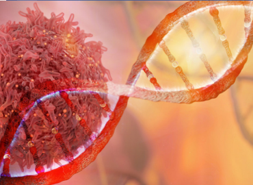 229 women undergo cervical cancer screening