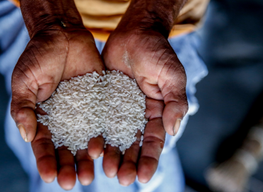 NA members stress on food sufficiency in Nepal