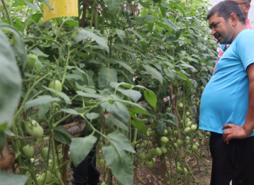Migrant returnee GC making huge income from agriculture