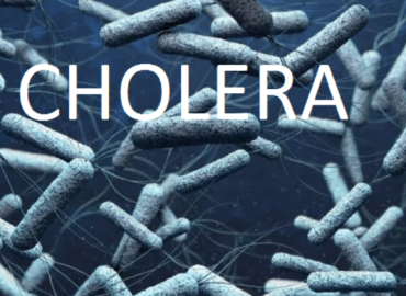 25 cases of cholera detected across country