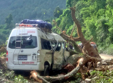 Nine passengers injured after falling tree hits moving micro bus