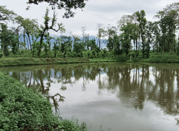 Nine ponds constructed in community forests in Parbat