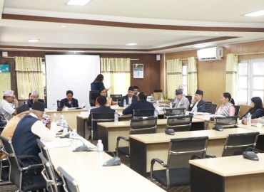 Parliamentary hearing of proposed ambassadors begins