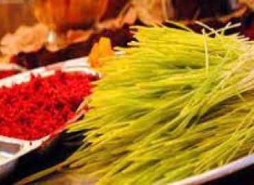 Auspicious Time for Tika at 11:36 AM: