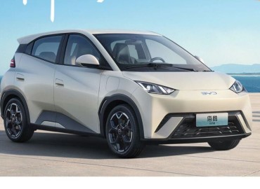 Will BYD Seagull Become a Market Leader in the Hatchback Segment in Nepal?