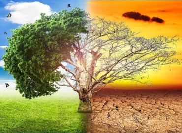 Wider cooperation stressed to reduce climate change crisis