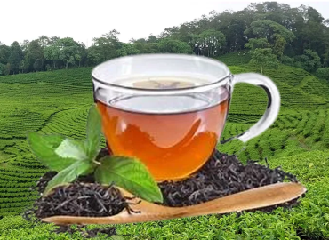 CM Karki admits slack marketing of tea