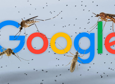 Why Google is Releasing 32 Million Special Mosquitoes