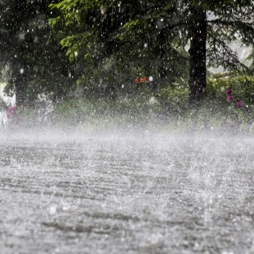 Heavy rainfall forecast in some places of Koshi, Bagmati, Gandaki and Lumbini