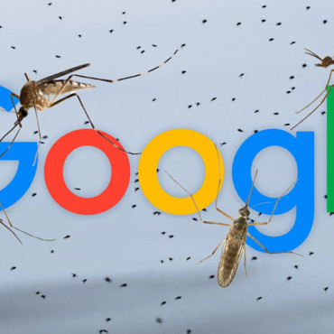 Why Google is Releasing 32 Million Special Mosquitoes