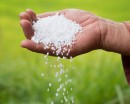 Government taking initiative to ensure supply of chemical fertilizers