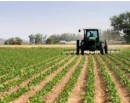 Technology can shape up agriculture in emerging economies for food security: World Economic Forum_img