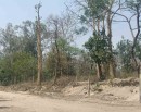 Surge in heat affects normal life in Tarai Madhes_img