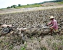Rights organisations call for addressing problems of agriculture labourers_img