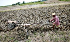 Rights organisations call for addressing problems of agriculture labourers